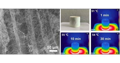 thermal paint performance predictions